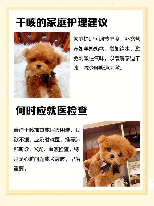 狗狗干咳怎么办,狗狗干咳吐白色粘稠物怎么回事?-第1张图片-后鲨宠物 狗狗干咳怎么办,狗狗干咳吐白色粘稠物怎么回事?-第1张图片-后鲨宠物