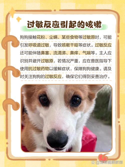 狗狗干咳怎么办,狗狗干咳吐白色粘稠物怎么回事?-第2张图片-后鲨宠物 狗狗干咳怎么办,狗狗干咳吐白色粘稠物怎么回事?-第2张图片-后鲨宠物