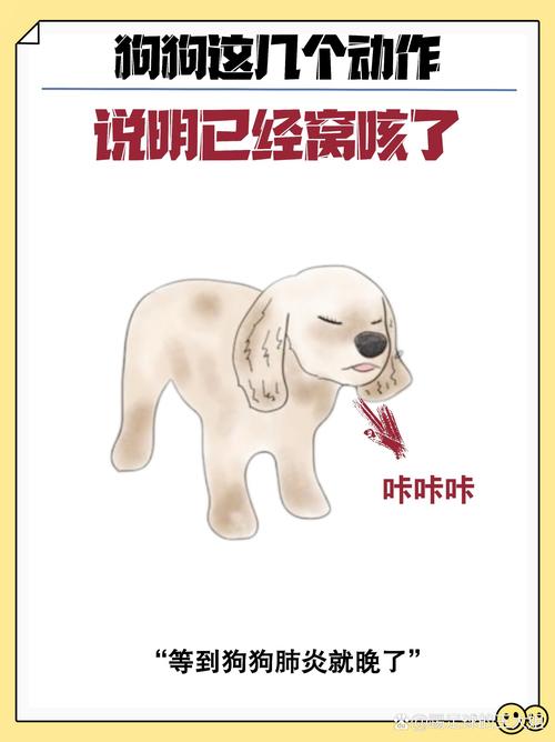 狗狗干咳怎么办,狗狗干咳吐白色粘稠物怎么回事?-第4张图片-后鲨宠物 狗狗干咳怎么办,狗狗干咳吐白色粘稠物怎么回事?-第4张图片-后鲨宠物