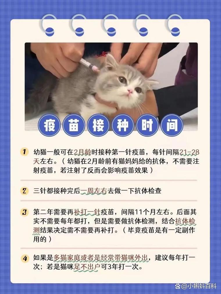 猫咪打疫苗前可以洗澡吗,猫打疫苗前可以洗澡嘛-第1张图片-后鲨宠物 猫咪打疫苗前可以洗澡吗,猫打疫苗前可以洗澡嘛-第1张图片-后鲨宠物