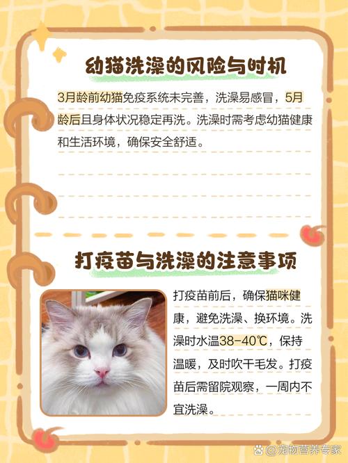 猫咪打疫苗前可以洗澡吗,猫打疫苗前可以洗澡嘛-第4张图片-后鲨宠物 猫咪打疫苗前可以洗澡吗,猫打疫苗前可以洗澡嘛-第4张图片-后鲨宠物