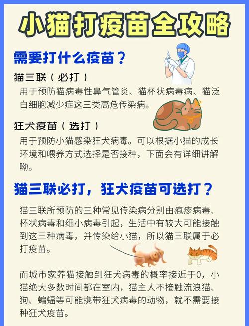 猫咪打疫苗前可以洗澡吗,猫打疫苗前可以洗澡嘛-第5张图片-后鲨宠物 猫咪打疫苗前可以洗澡吗,猫打疫苗前可以洗澡嘛-第5张图片-后鲨宠物