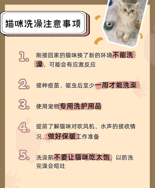 猫咪打疫苗前可以洗澡吗,猫打疫苗前可以洗澡嘛-第6张图片-后鲨宠物 猫咪打疫苗前可以洗澡吗,猫打疫苗前可以洗澡嘛-第6张图片-后鲨宠物