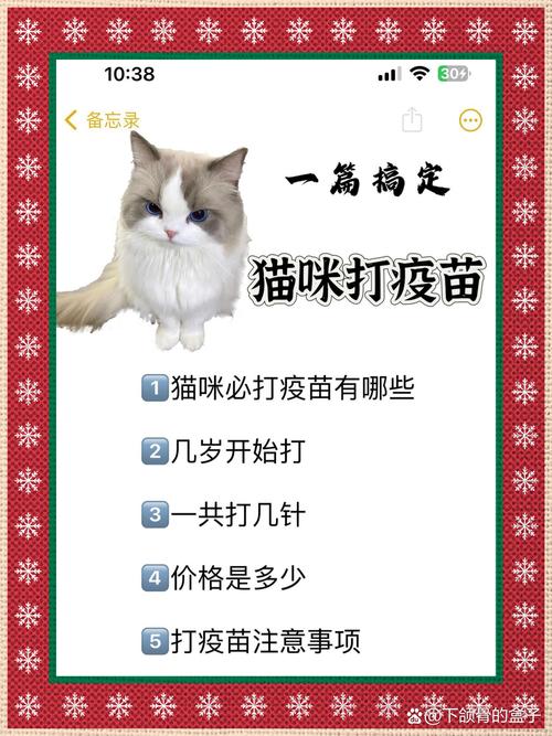 猫咪要打哪些针,猫咪要打哪些针剂?-第2张图片-后鲨宠物 猫咪要打哪些针,猫咪要打哪些针剂?-第2张图片-后鲨宠物