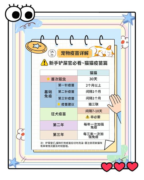 猫咪要打哪些针,猫咪要打哪些针剂?-第6张图片-后鲨宠物 猫咪要打哪些针,猫咪要打哪些针剂?-第6张图片-后鲨宠物