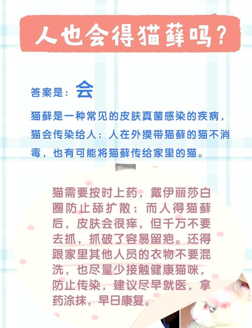 人感冒会传染给猫咪吗_人感冒会传染猫么-第3张图片-后鲨宠物 人感冒会传染给猫咪吗_人感冒会传染猫么-第3张图片-后鲨宠物
