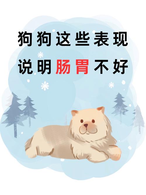 狗狗肠胃不舒服的表现_狗狗肠胃不好怎么治疗-第3张图片-后鲨宠物 狗狗肠胃不舒服的表现_狗狗肠胃不好怎么治疗-第3张图片-后鲨宠物