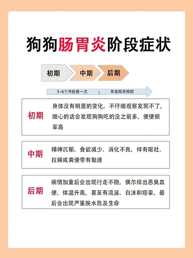 狗狗肠胃不舒服的表现_狗狗肠胃不好怎么治疗-第6张图片-后鲨宠物 狗狗肠胃不舒服的表现_狗狗肠胃不好怎么治疗-第6张图片-后鲨宠物