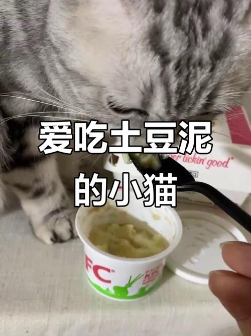 猫咪可以吃土豆泥吗，猫咪可以吃土豆不？