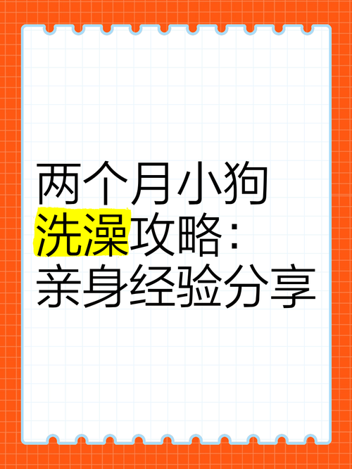 狗狗2个月可以洗澡吗,狗狗两个月可以洗澡么?-第4张图片-后鲨宠物 狗狗2个月可以洗澡吗,狗狗两个月可以洗澡么?-第4张图片-后鲨宠物