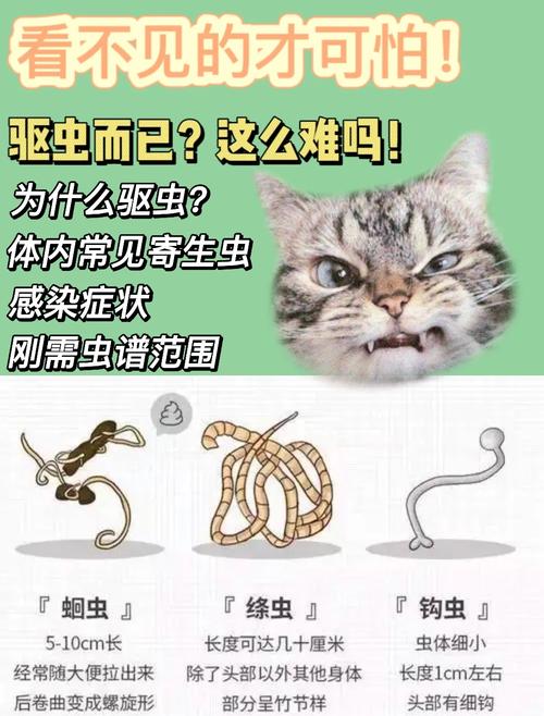 猫猫体内驱虫_猫猫体内驱虫和体外驱虫间隔多久-第4张图片-后鲨宠物 猫猫体内驱虫_猫猫体内驱虫和体外驱虫间隔多久-第4张图片-后鲨宠物