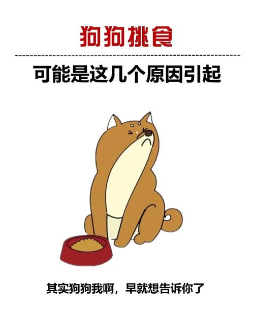 狗狗不吃饭是怎么回事_主人不在家狗狗不吃饭是怎么回事