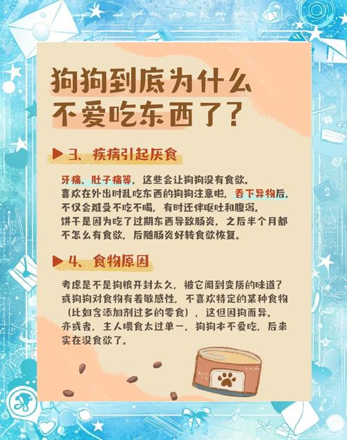 狗狗不吃饭是怎么回事_主人不在家狗狗不吃饭是怎么回事-第2张图片-后鲨宠物 狗狗不吃饭是怎么回事_主人不在家狗狗不吃饭是怎么回事-第2张图片-后鲨宠物