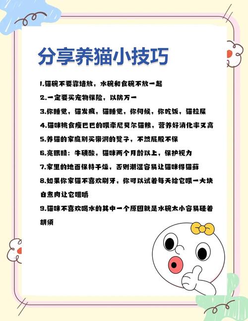 小猫咪要怎么养,小猫咪怎么养?-第5张图片-后鲨宠物 小猫咪要怎么养,小猫咪怎么养?-第5张图片-后鲨宠物