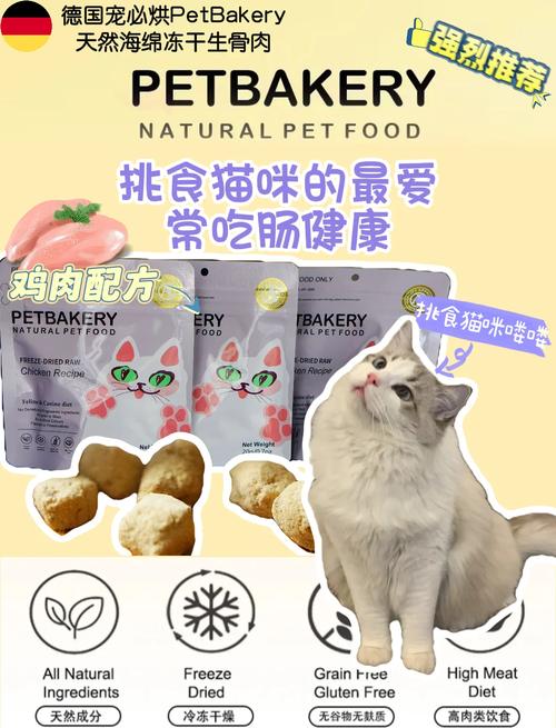 猫咪能吃肉松吗,猫可以吃肉松没事-第4张图片-后鲨宠物 猫咪能吃肉松吗,猫可以吃肉松没事-第4张图片-后鲨宠物