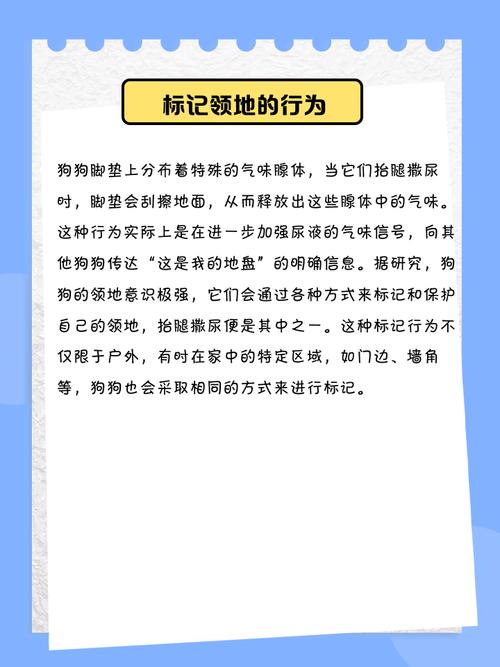 狗狗几个月会抬腿尿,狗狗几个月抬腿尿正常-第3张图片-后鲨宠物 狗狗几个月会抬腿尿,狗狗几个月抬腿尿正常-第3张图片-后鲨宠物