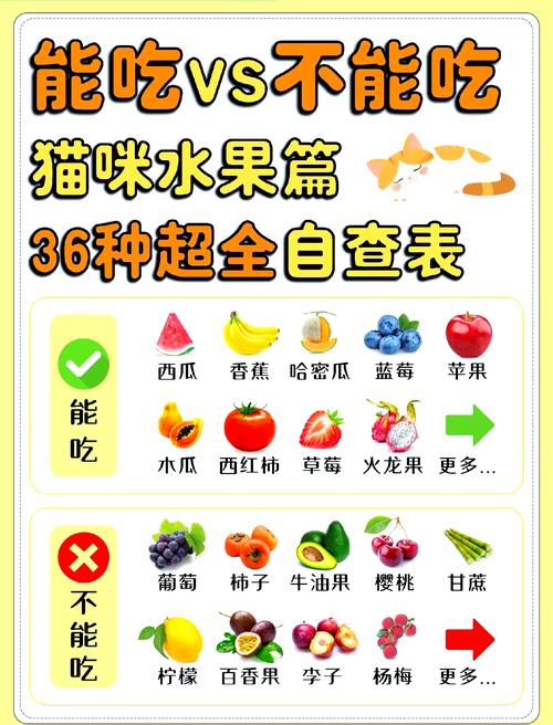 猫咪可以吃猕猴桃吗_小猫咪可不可以吃猕猴桃-第1张图片-后鲨宠物 猫咪可以吃猕猴桃吗_小猫咪可不可以吃猕猴桃-第1张图片-后鲨宠物