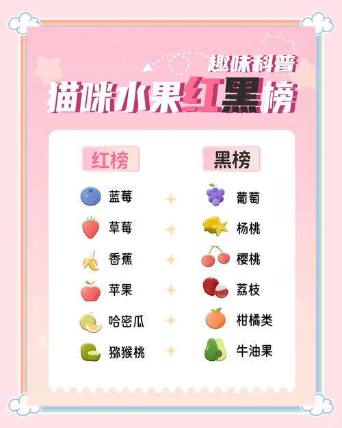 猫咪可以吃猕猴桃吗_小猫咪可不可以吃猕猴桃-第4张图片-后鲨宠物 猫咪可以吃猕猴桃吗_小猫咪可不可以吃猕猴桃-第4张图片-后鲨宠物