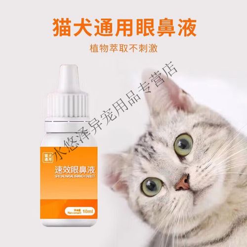 猫咪眼睛流脓用什么药,猫咪眼睛流脓会自愈吗肿胀?-第2张图片-后鲨宠物 猫咪眼睛流脓用什么药,猫咪眼睛流脓会自愈吗肿胀?-第2张图片-后鲨宠物