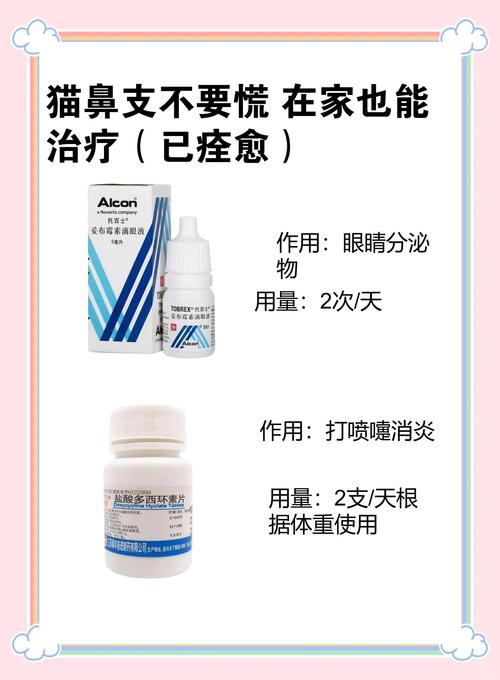 猫咪眼睛流脓用什么药,猫咪眼睛流脓会自愈吗肿胀?-第4张图片-后鲨宠物 猫咪眼睛流脓用什么药,猫咪眼睛流脓会自愈吗肿胀?-第4张图片-后鲨宠物