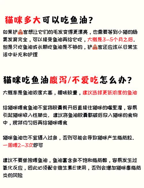 猫咪可以吃油吗,小猫咪可以吃油-第3张图片-后鲨宠物 猫咪可以吃油吗,小猫咪可以吃油-第3张图片-后鲨宠物
