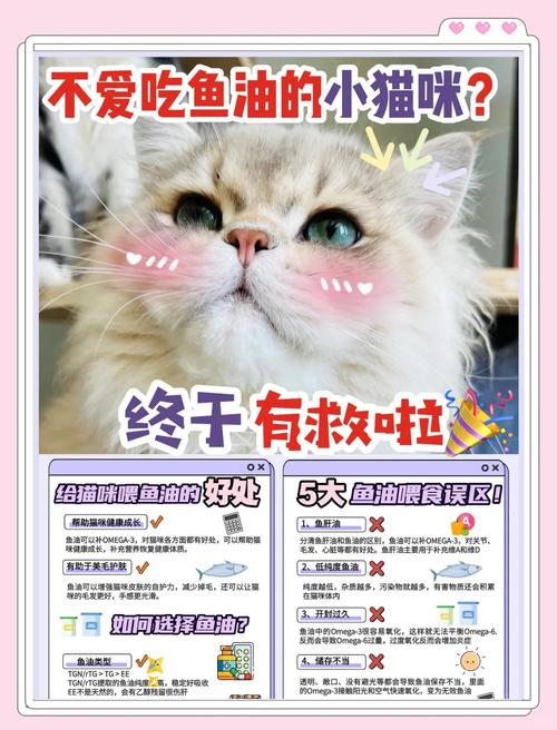 猫咪可以吃油吗,小猫咪可以吃油-第4张图片-后鲨宠物 猫咪可以吃油吗,小猫咪可以吃油-第4张图片-后鲨宠物