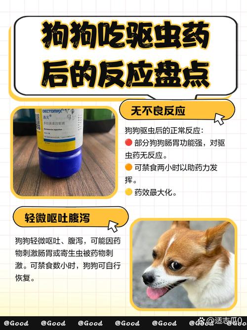 狗狗吃了驱虫药有什么反应，狗狗吃了驱虫药会怎么样？