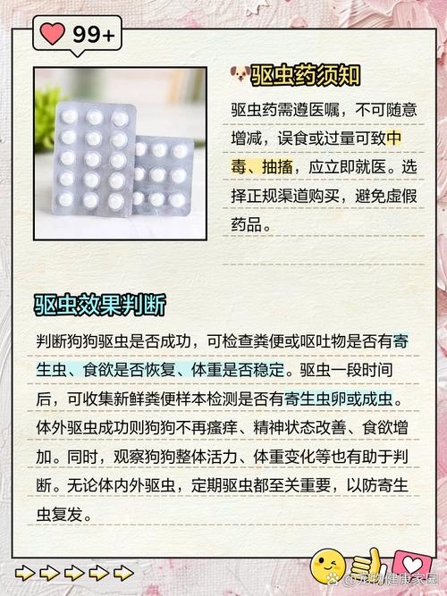 狗狗吃了驱虫药有什么反应,狗狗吃了驱虫药会怎么样?-第5张图片-后鲨宠物 狗狗吃了驱虫药有什么反应,狗狗吃了驱虫药会怎么样?-第5张图片-后鲨宠物