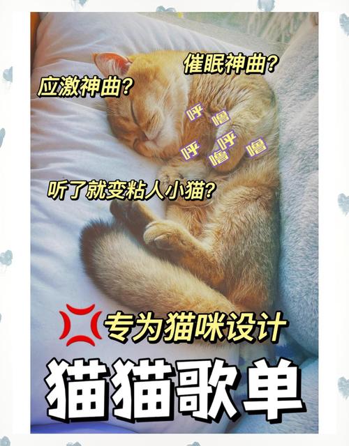 猫咪最喜欢的歌曲,猫咪喜欢听的歌曲?-第4张图片-后鲨宠物 猫咪最喜欢的歌曲,猫咪喜欢听的歌曲?-第4张图片-后鲨宠物