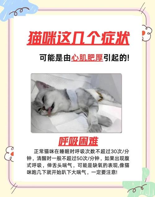 猫咪肥厚性心肌病_猫咪肥厚性心肌病怎么治疗-第6张图片-后鲨宠物 猫咪肥厚性心肌病_猫咪肥厚性心肌病怎么治疗-第6张图片-后鲨宠物