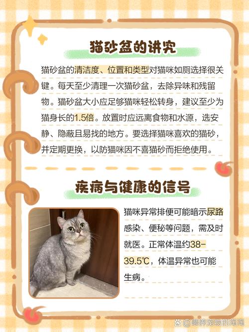 猫咪在床上拉屎怎么办,猫在床上拉屎怎么处理干净味道?-第2张图片-后鲨宠物 猫咪在床上拉屎怎么办,猫在床上拉屎怎么处理干净味道?-第2张图片-后鲨宠物