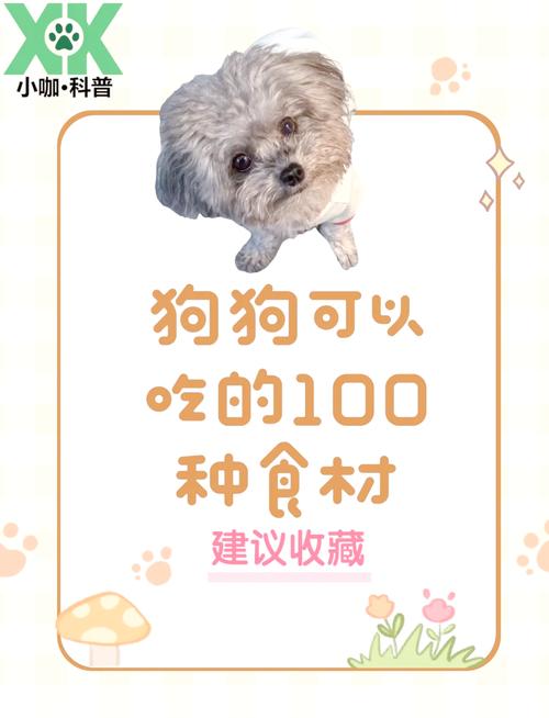 狗狗吃土豆好吗_狗狗吃土豆吗会怎么样-第4张图片-后鲨宠物 狗狗吃土豆好吗_狗狗吃土豆吗会怎么样-第4张图片-后鲨宠物