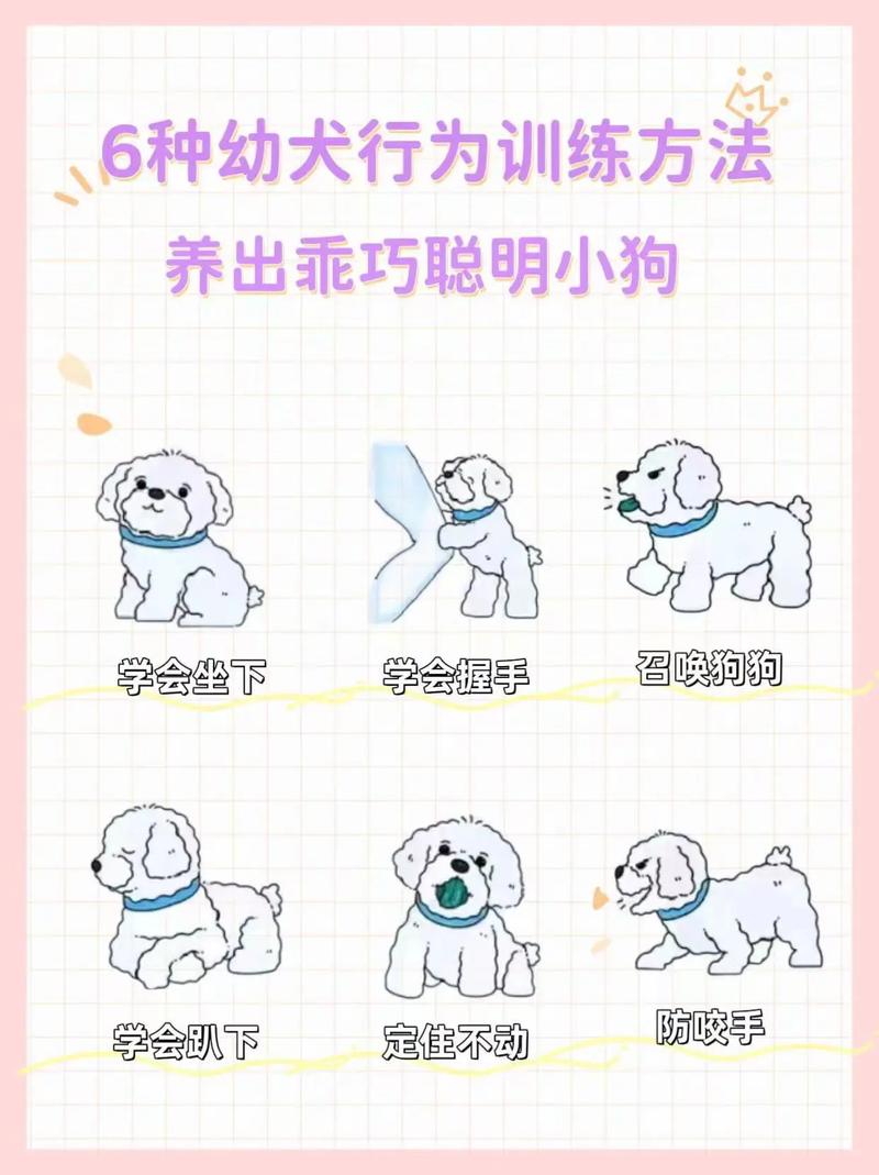  怎么训练狗狗握手，训犬的十句口诀