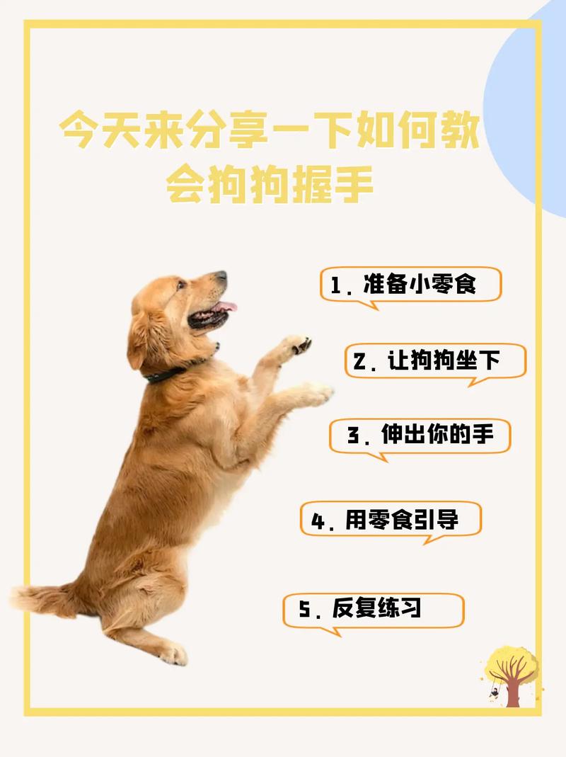 怎么训练狗狗握手,训犬的十句口诀-第2张图片-后鲨宠物 怎么训练狗狗握手,训犬的十句口诀-第2张图片-后鲨宠物