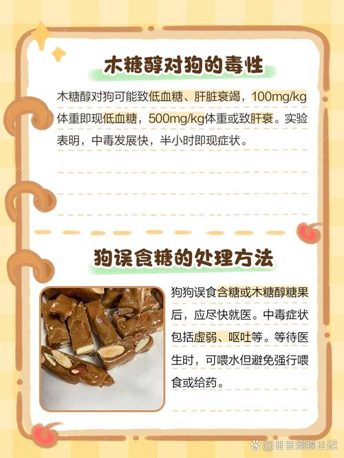 小狗狗能吃糖吗_狗狗可以吃糖吗狗可以吃糖吗-第3张图片-后鲨宠物 小狗狗能吃糖吗_狗狗可以吃糖吗狗可以吃糖吗-第3张图片-后鲨宠物