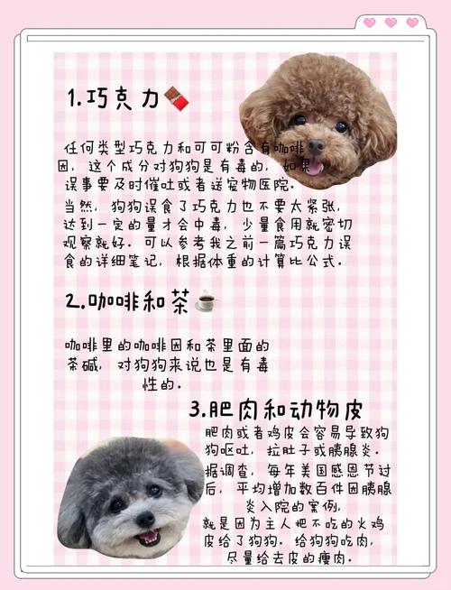 小狗狗能吃糖吗_狗狗可以吃糖吗狗可以吃糖吗-第4张图片-后鲨宠物 小狗狗能吃糖吗_狗狗可以吃糖吗狗可以吃糖吗-第4张图片-后鲨宠物