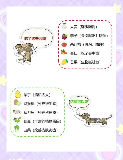 小狗狗能吃糖吗_狗狗可以吃糖吗狗可以吃糖吗-第5张图片-后鲨宠物 小狗狗能吃糖吗_狗狗可以吃糖吗狗可以吃糖吗-第5张图片-后鲨宠物