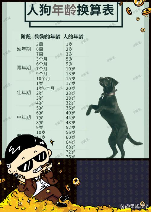 狗狗多久算一岁,狗狗多久算一岁幼犬-第2张图片-后鲨宠物 狗狗多久算一岁,狗狗多久算一岁幼犬-第2张图片-后鲨宠物