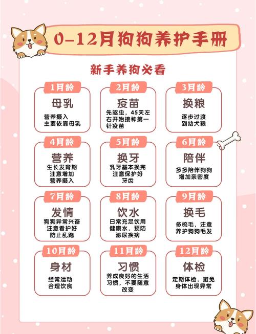 狗狗多久算一岁,狗狗多久算一岁幼犬-第3张图片-后鲨宠物 狗狗多久算一岁,狗狗多久算一岁幼犬-第3张图片-后鲨宠物