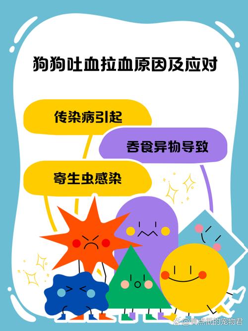 狗狗吃骨头吐血怎么办，狗狗吃骨头吐血怎么办啊？-第2张图片-后鲨宠物