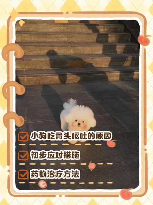 狗狗吃骨头吐血怎么办，狗狗吃骨头吐血怎么办啊？-第5张图片-后鲨宠物