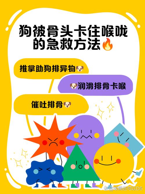 狗狗吃骨头吐血怎么办，狗狗吃骨头吐血怎么办啊？-第6张图片-后鲨宠物