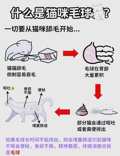 猫咪吐毛球怎么办_猫咪老是吐毛球怎么办-第5张图片-后鲨宠物 猫咪吐毛球怎么办_猫咪老是吐毛球怎么办-第5张图片-后鲨宠物