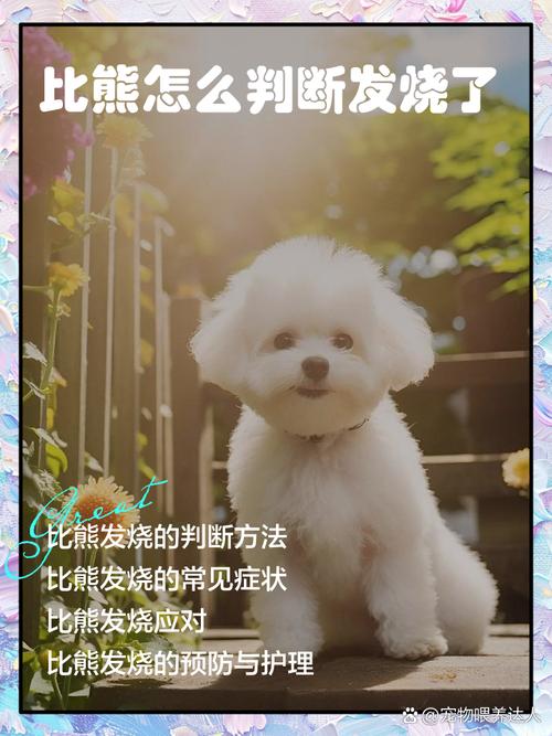 如何判断狗狗发烧，狗狗发烧的7种表现？