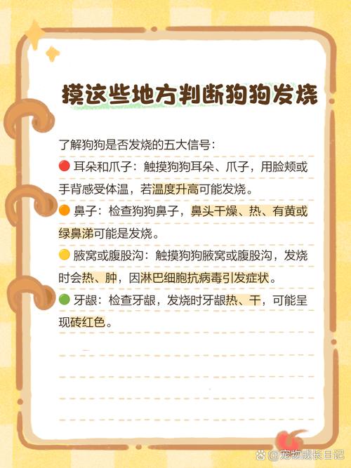 如何判断狗狗发烧,狗狗发烧的7种表现?-第5张图片-后鲨宠物 如何判断狗狗发烧,狗狗发烧的7种表现?-第5张图片-后鲨宠物