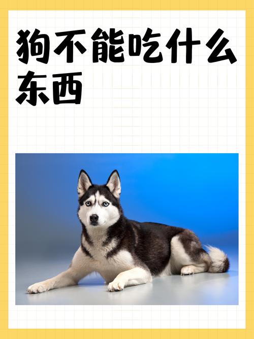 狗狗能吃淀粉吗,狗狗吃淀粉可以吗?-第2张图片-后鲨宠物 狗狗能吃淀粉吗,狗狗吃淀粉可以吗?-第2张图片-后鲨宠物