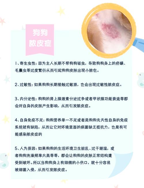  狗狗得脓皮症的原因，狗狗得脓皮症的原因是什么-第3张图片-后鲨宠物
