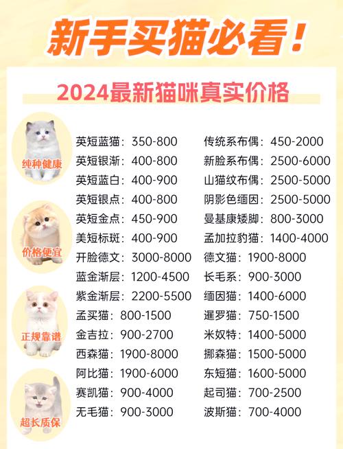 猫咪寄养多少钱一天,猫寄养10天后不认主人了?-第1张图片-后鲨宠物 猫咪寄养多少钱一天,猫寄养10天后不认主人了?-第1张图片-后鲨宠物