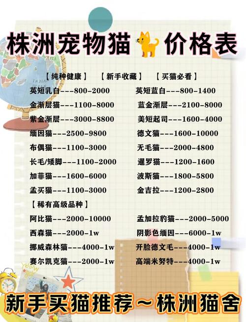 猫咪寄养多少钱一天,猫寄养10天后不认主人了?-第3张图片-后鲨宠物 猫咪寄养多少钱一天,猫寄养10天后不认主人了?-第3张图片-后鲨宠物