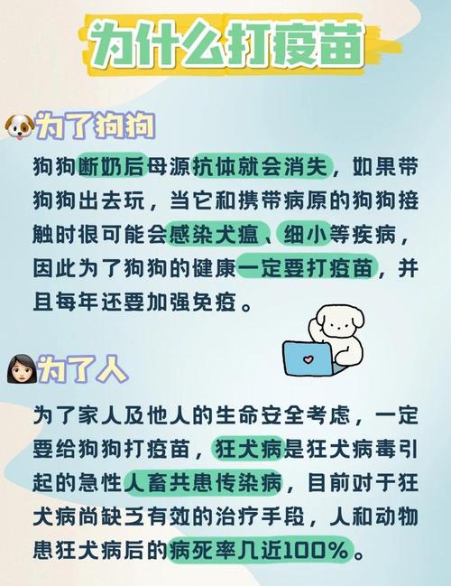 能自己给狗狗打疫苗吗,可以自己给狗子打预防针吗?-第5张图片-后鲨宠物 能自己给狗狗打疫苗吗,可以自己给狗子打预防针吗?-第5张图片-后鲨宠物